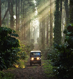 COORG : A HOME IN COFFEE PLANTATIONS